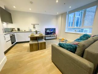 Stunning Chelmsford Apartment - Chelmsford - 6