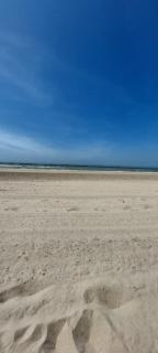 Suit'home - Fort-Mahon-Plage - 6