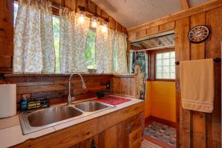 Glamping-Style Cabin on 20-Acre Farm Near Lutz! - Land O' Lakes - 1