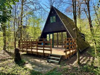 Bosmuis Ardennen, Durbuy, Genieten in de bossen - Durbuy - 8