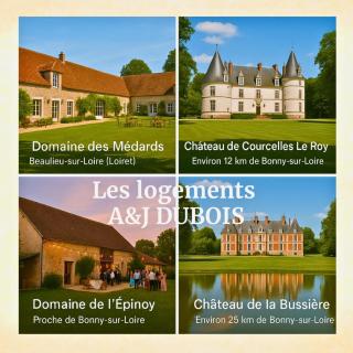 A&J Family - Neuvy sur Loire - Guédelon - Neuvy-sur-Loire - 7