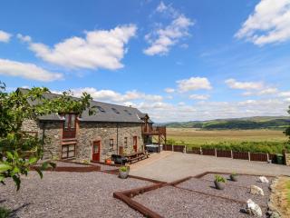 Llwyngwinau Isaf Barn - Tregaron - 0