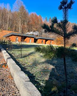 Rain4rest Cabana de lux - Marginea - 0