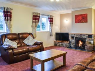 Gwynfan Bungalow - Nantmel - 7