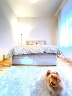 Modern New Eggenberg Top 1b - 1