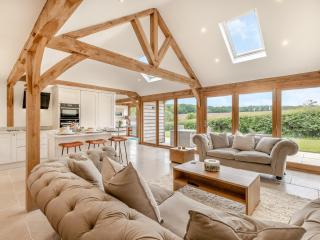 Walford Lodge - Uk47305 - Uttoxeter - 9
