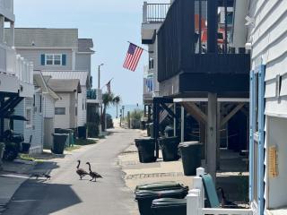 Ocean Lakes, Close to Beach, Golf Cart - Myrtle Beach - 5