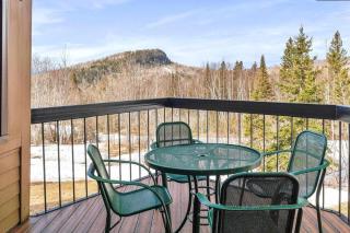Lutsen Executive Townhome Ski in out Full Resort Amenities - Lutsen - 0