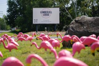 LumberJill Lodge Room 9 - 6