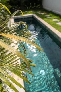 NEW Tranquil 2BR Pool Villa in Canggu - Tumbak Bayuh - 4