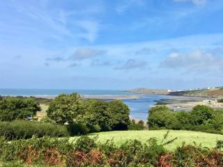 Lletty Cottage - Capel-Ifan - 9