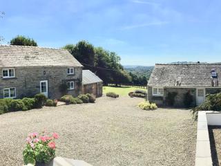 Lletty Cottage - Capel-Ifan - 3