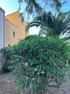 5 personnes piscine pinède et mer - 3