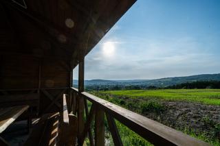 Domki Winne Tarasy - 4