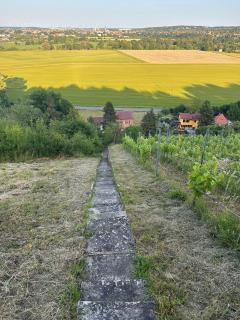 FeWo Weinberghaus "Zum Steinkauz" - Naumburg - 8