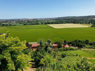 FeWo Weinberghaus "Zum Steinkauz" - Naumburg - 9