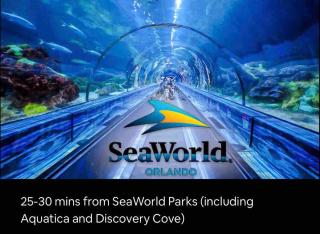 Cozy Kissimmee Hideaway - 5