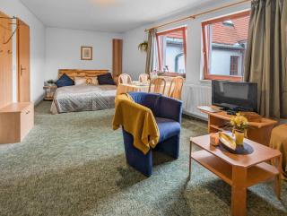 Ruhiges Studio in Pension Altstadt - Uni & Schloss zu Fuß erreichen - Freiberg - 0