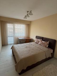 Contemporary Comfort in Lozenets - 5