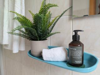 Central Studio for 2 | Garden & Historic Charm - Freiberg - 5