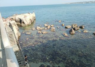 Casa dell'olivo - Syracuse - 9