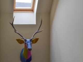 Stags Neuk - Aviemore - 2