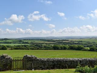 Swallows Nest - Uk12085 - Saint Endellion - 1