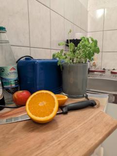 Charming Studio in Old Town - Freiberg - 3
