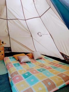 Art camp & museum - 9