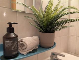 Charming Studio in Old Town - Freiberg - 1
