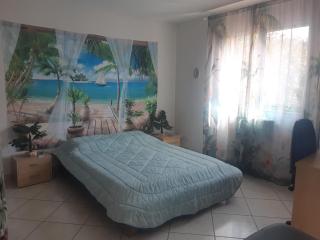Villa de standing avec gd jardin arboré près d'Argelès sur Mer - Saint-André - 4