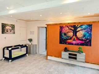 Appartement agréable et atypique, rénové, wifi, terrasse, jardin - Schleithal - 8