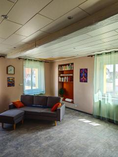 Appartement agréable et atypique, rénové, wifi, terrasse, jardin - Schleithal - 7