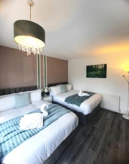 Home Near Headingley Stadium, Leeds - Leeds - 5