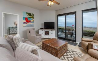 Phoenix X 101 condo - Orange Beach - 0