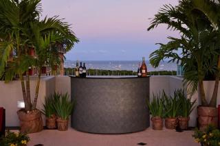Private Oasis at Arya - Miami - 5