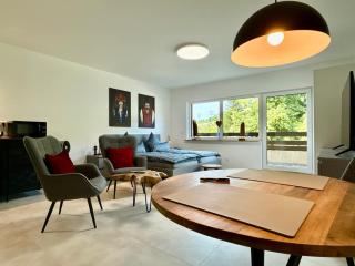 Black Forest Apartment - Bollenhut - Gernsbach - 0