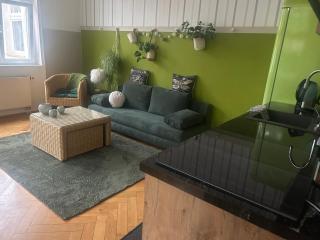 Appartment im Villenviertel - Jena - 7