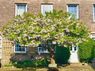 Muddy Boots-Arcade Royale - Kirkby Stephen - 9