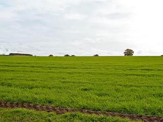 Holy Boys - 17626 - Castle Acre - 3