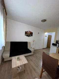 Apartman Milan - Poljanak - 1