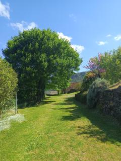 Gites de la Bastide, 30750 Trèves - Tréves - 6