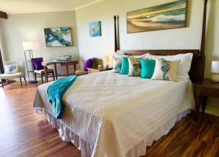 Oceanview Elegance with King Bed - Lihue - 9