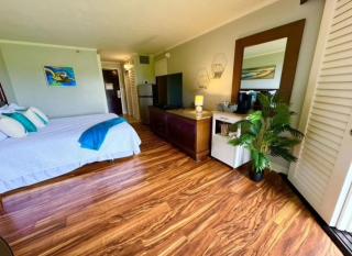 Oceanview Elegance with King Bed - Lihue - 6