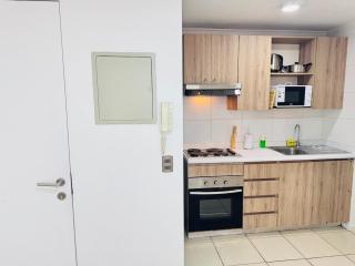 Ideal Para Familias y Amigos - Santiago - 1