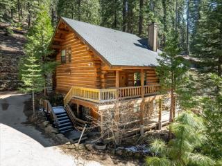 Yosemite Log Cabin-Rustic Charm-Sleeps 8 - Yosemite West - 9
