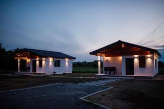 Sunny Apartments - 1