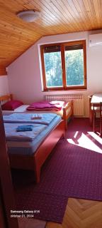 Villa "Bosnia" - Saraievo - 1
