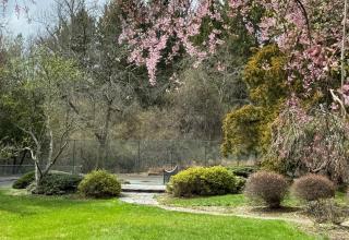 Zen House - Princeton - 0