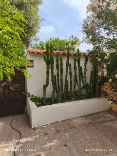 Oasis - Calpe - 8